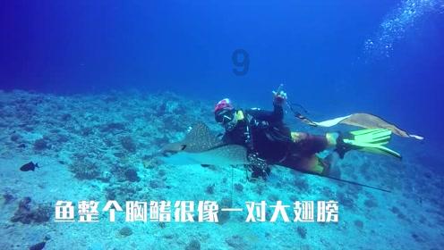 “德州元素”激扬奋进向上力量